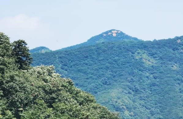 Zhangshiyan 42.jpg