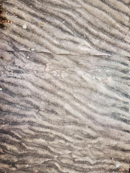 Ripple Mark 2.jpg